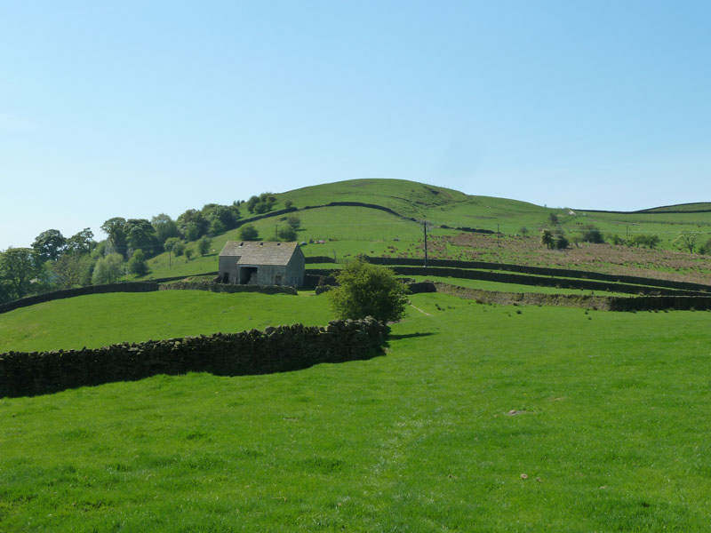 Brown Hill